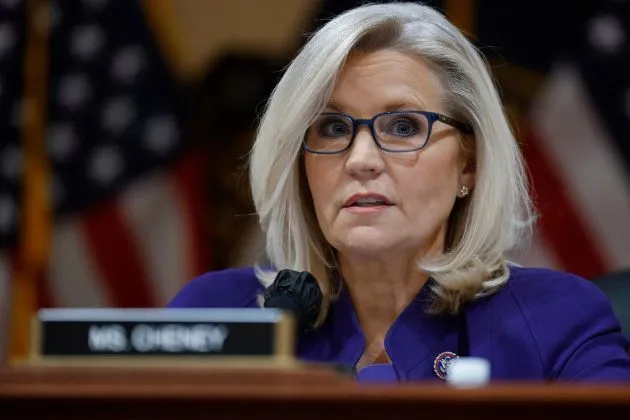 Liz cheney net worth