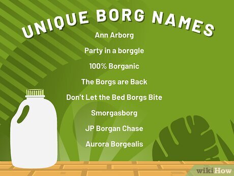Borg names