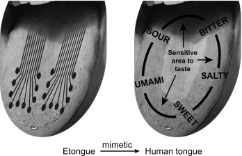 Graphene-based electronic tongue