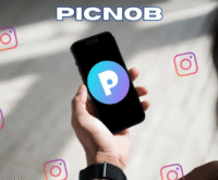 Picnob: Top-Rated Instagram Viewer for 2025