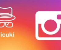 What is Picuki for Instagram: A Safe, Anonymous Viewer
