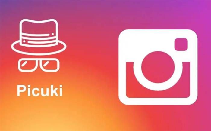 What is Picuki for Instagram: A Safe, Anonymous Viewer
