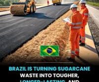 Brazil is paving the way: Bold transformation in sustainable innovation