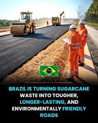 Brazil is paving the way: Bold transformation in sustainable innovation