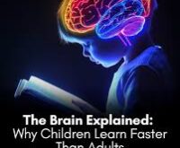 The brain explained: Surprising truth about why children learn faster