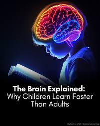 The brain explained: Surprising truth about why children learn faster