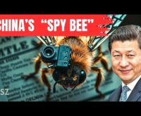 Chinese scientists