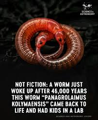 Not Fiction