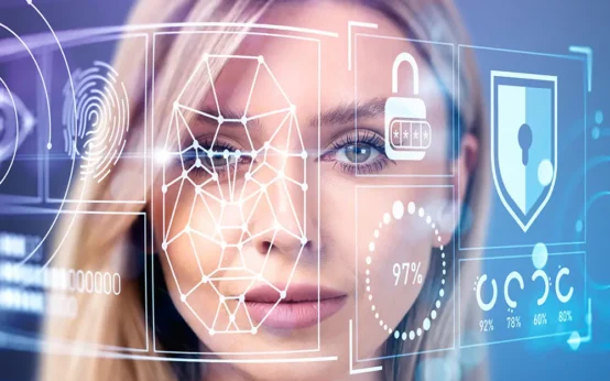 Insanont: Empowering the Future of Digital Identity